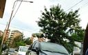 Active Couple Arg: Public Anal Masturbation in the Public Road Showing the Vagina...