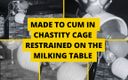 Mistress BJ Queen: Made to Cum in Chastity Cage Restrained on the Milking...