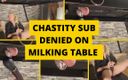Mistress BJ Queen: Chastity Sub Denied on Milking Table
